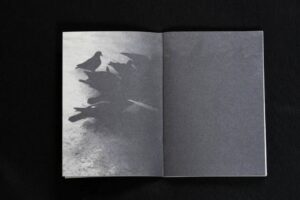 Asya Bobritskaya. Zeitgeist - Image 2