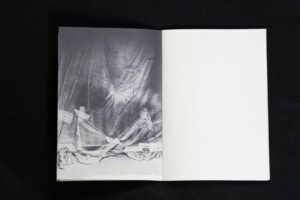 Asya Bobritskaya. Zeitgeist - Image 4