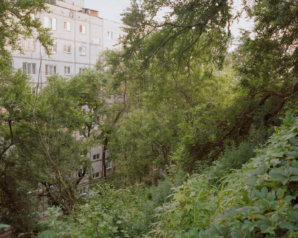 Anastasia Tsayder. Arcadia. Vladivostok. 40×50