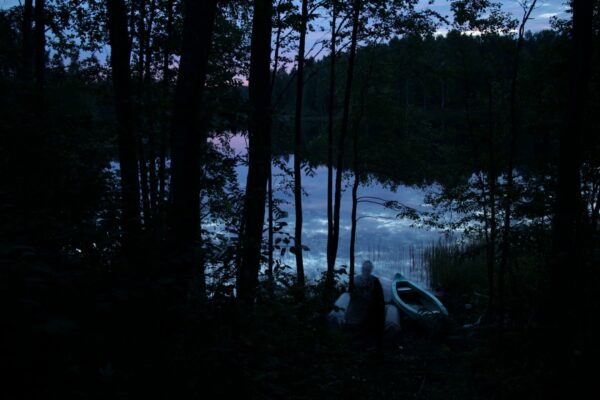 Evgeny Molodtsov. Vepssky forest II
