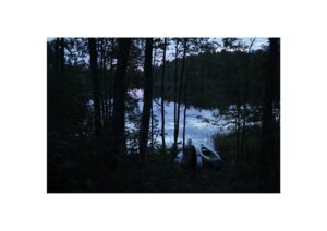 Evgeny Molodtsov. Vepssky forest II - Image 2