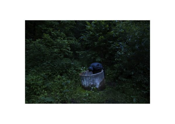 Evgeny Molodtsov. Vepssky forest V