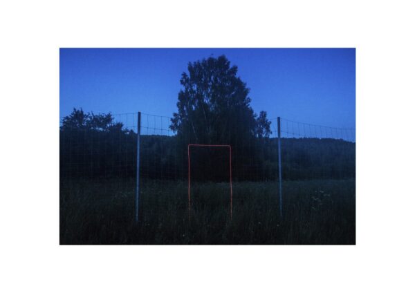 Evgeny Molodtsov. Vepssky forest IX