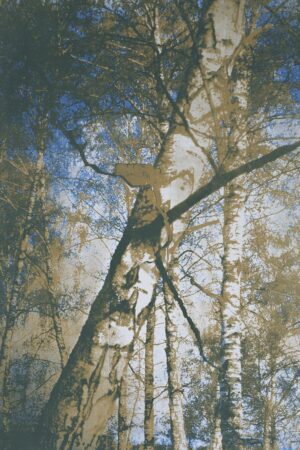 Katya Yanova. Fill line II, 55x80 - Image 6