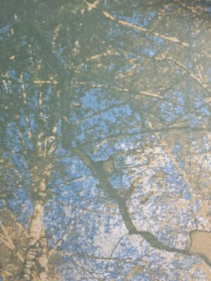 Katya Yanova. Fill line II, 55x80 - Image 2