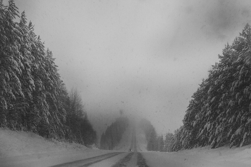 Fyodor Telkov. Road in the Permian Komi District. 53×80