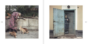 Dmitry Markov. #draft - Image 4