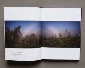 Ilya Batrakov. Morok - Image 5