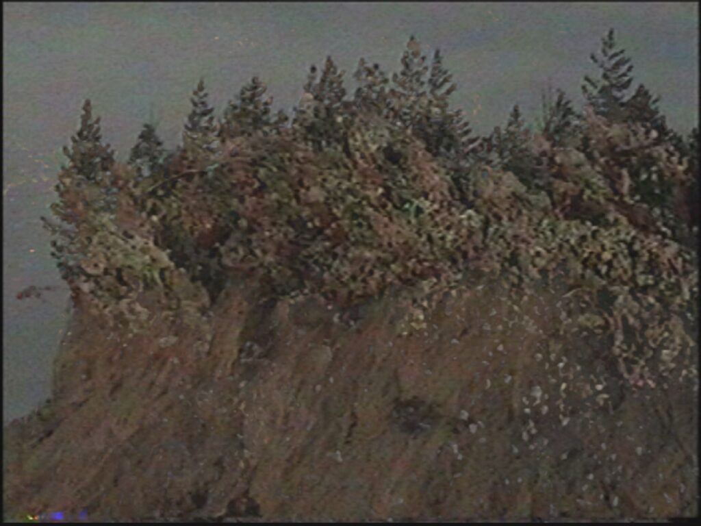Denis Shulepov. The practice of nostalgia V. 22,5×30