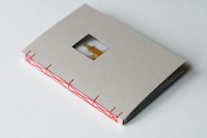 Юлия Бориссова. В поисках Димитрия (последний экземпляр!)