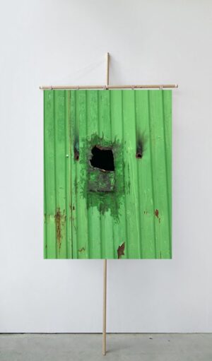 Anastasia Vostretsova. Surface N 03